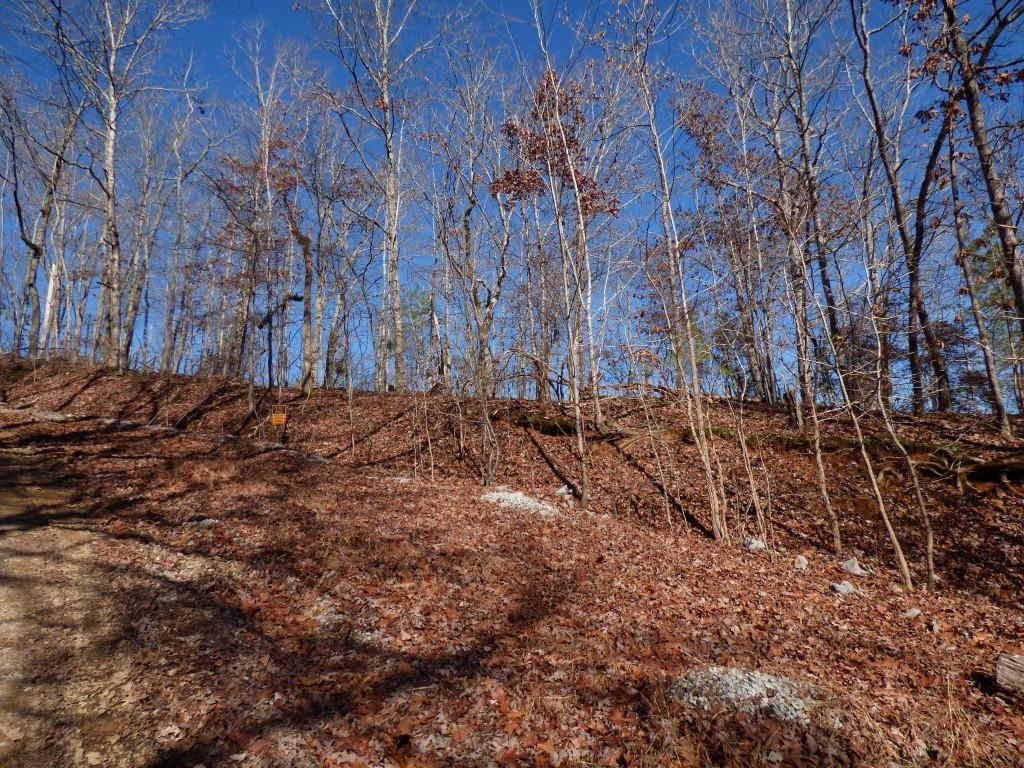 492 & 493 Rockview Drive - Photo 1
