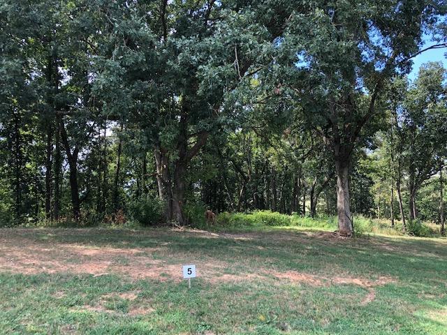 Lot 5-Fairway Drive - Photo 1