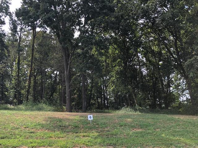 Lot 6-Fairway Drive - Photo 1