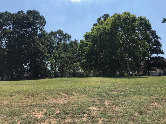 Lot 13-Fairway Drive - Photo 1