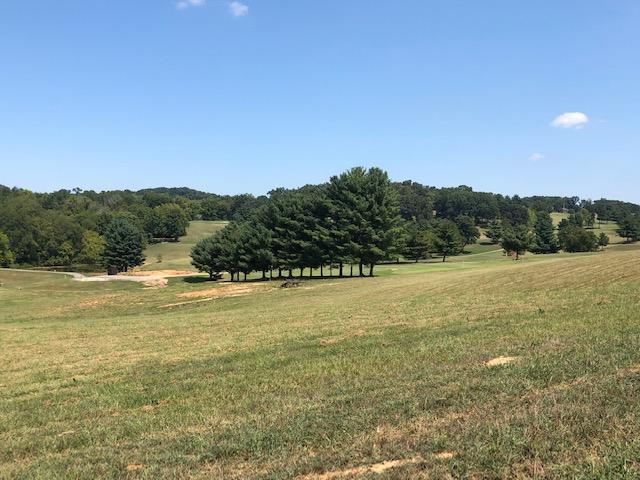 Lot 36-Fairway Drive - Photo 1