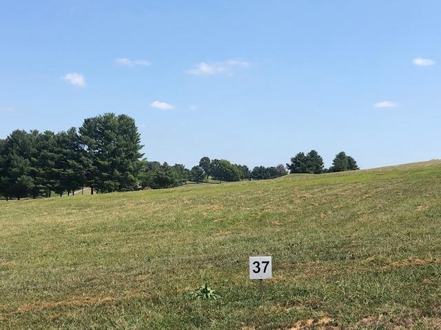 Lot 37-Fairway Drive - Photo 1