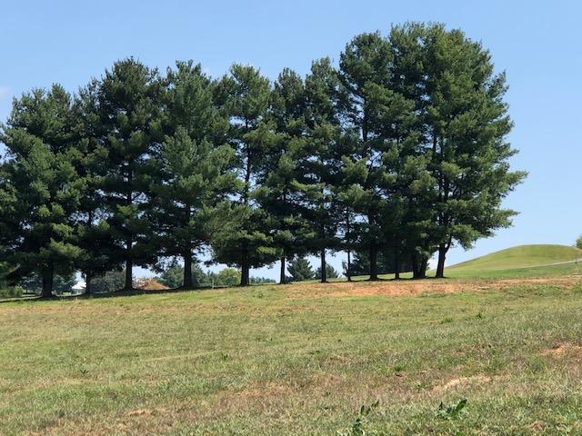 Lot 38-Fairway Drive - Photo 1