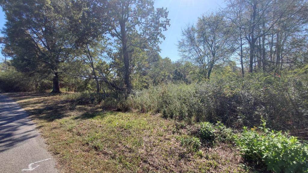 Cottonport Lot 11 Rd - Photo 1
