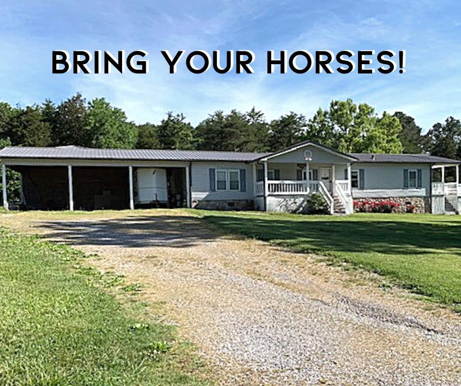 238 Little Notchey Creek Rd - Photo 1