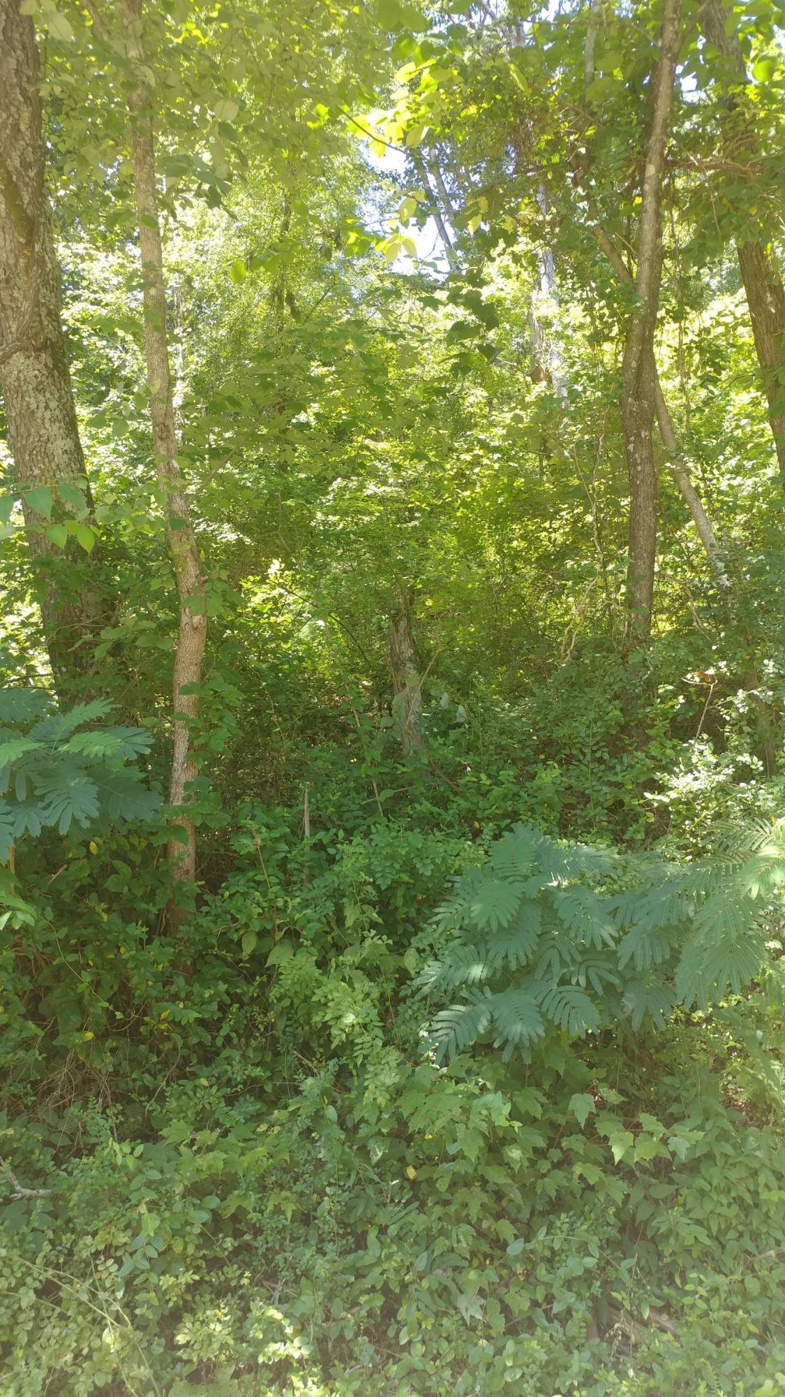 6110 Get Good Hollow Rd - Photo 1