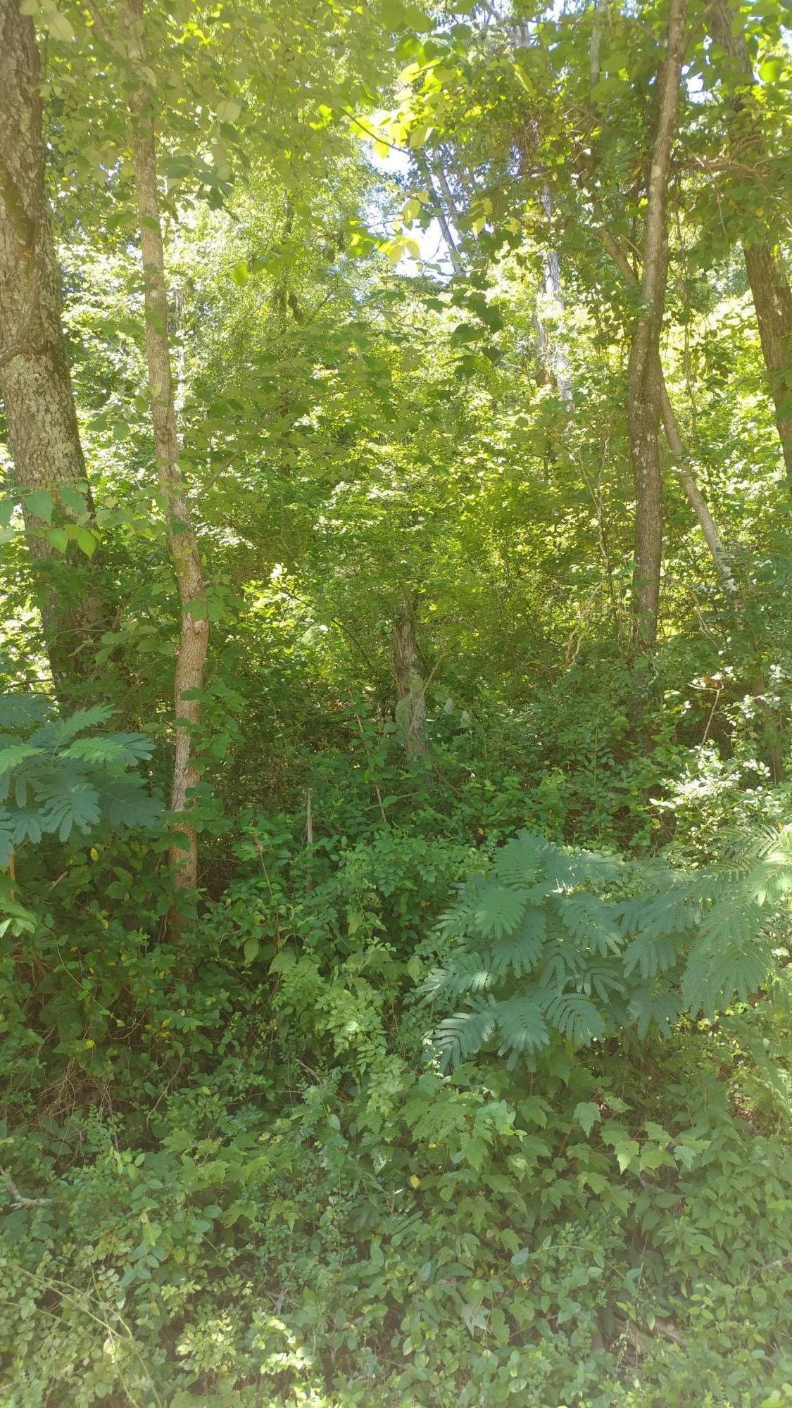 5644 Get Good Hollow Rd - Photo 1