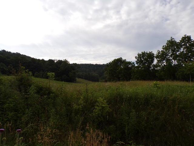 3802 Jamestown Hwy - Photo 1