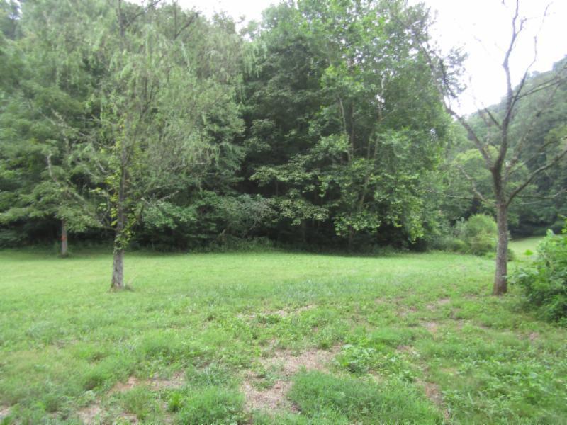 27.33ac Modock Hollow Rd - Photo 1