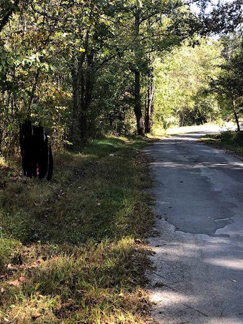 27 Acres - Joe Davis Rd - Photo 1 27 Acres - Joe Davis Rd - Photo 1