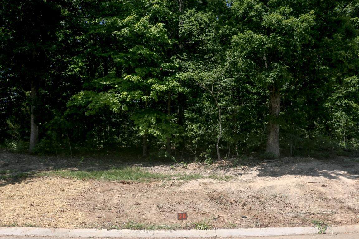 Lot 28 Dogwood Meadows Drive - Photo 1