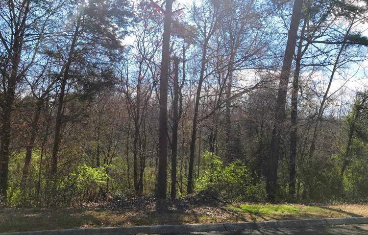 Lot 29 Indian Ridge Rd - Photo 1