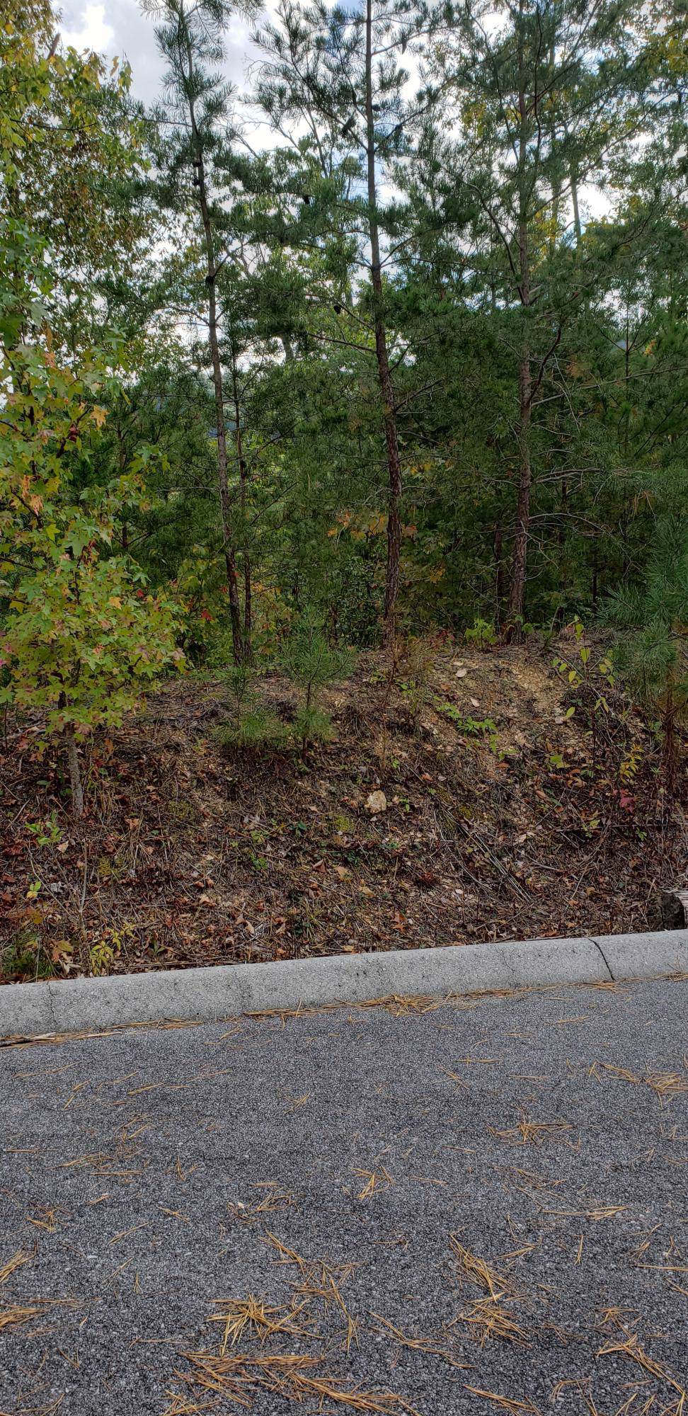 Lot 4 Happy Hollow Rd - Photo 1 Lot 4 Happy Hollow Rd - Photo 1