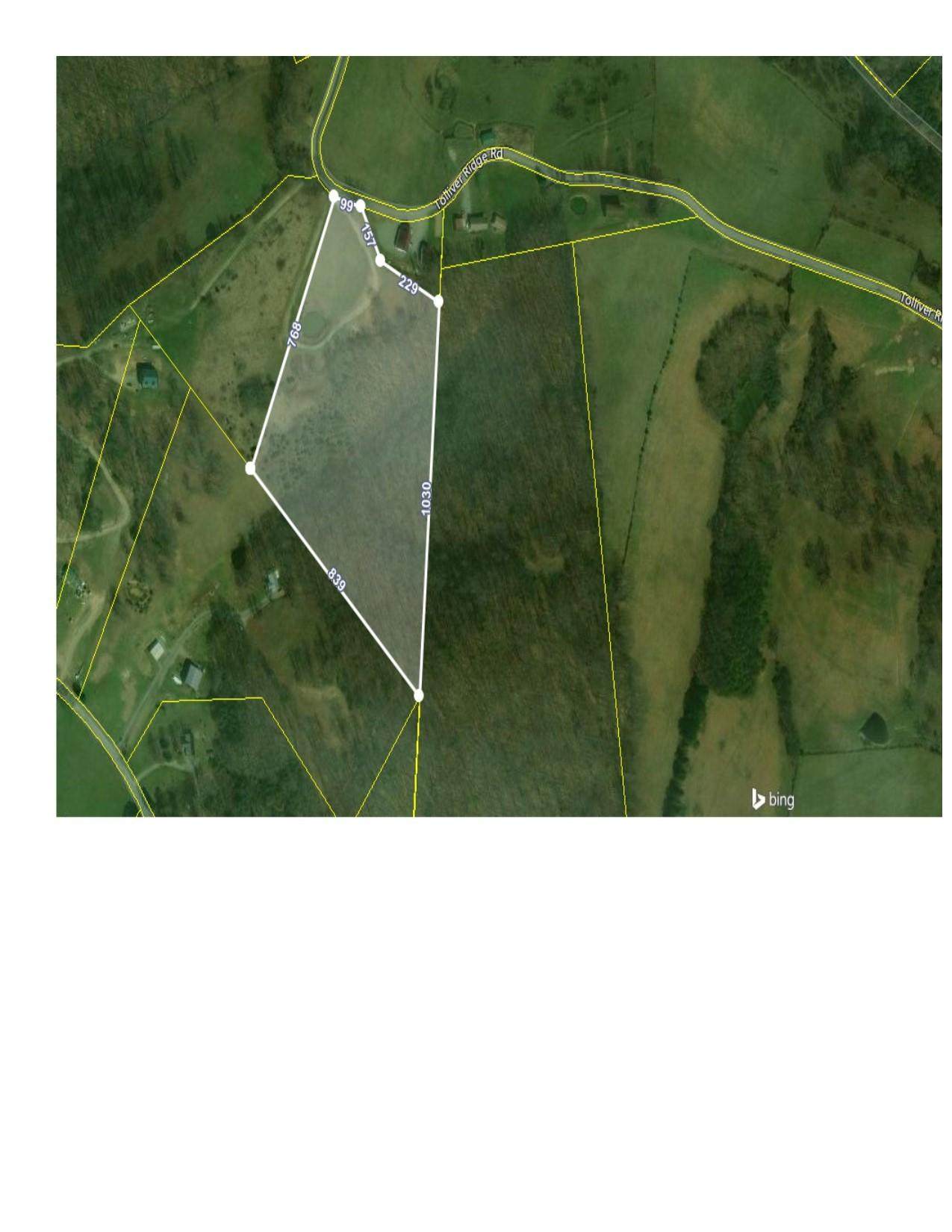 Tolliver Ridge Rd - Photo 1