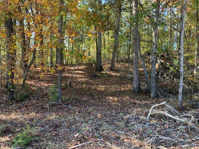 Shore Lot 135 Drive - Photo 1