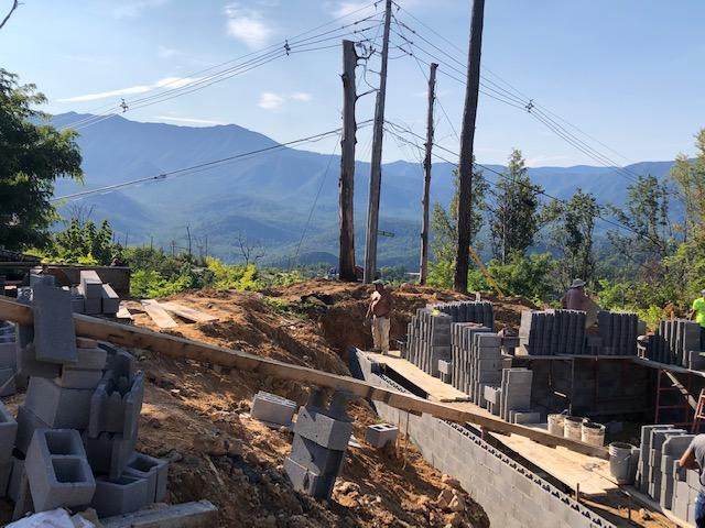 805 Piney Butt Loop - Photo 1