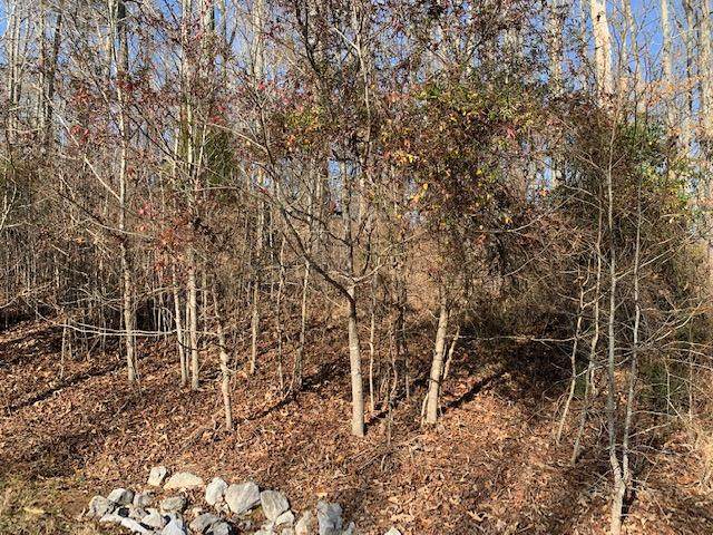E. Shore Dr, Lot 141 - Photo 1