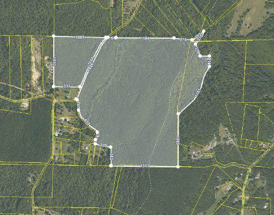 Rayl Hollow Rd - Photo 1