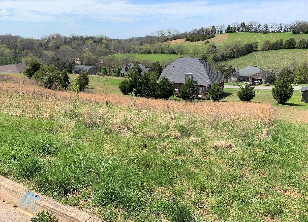 Infinity Ln - Lot 40 - Photo 1
