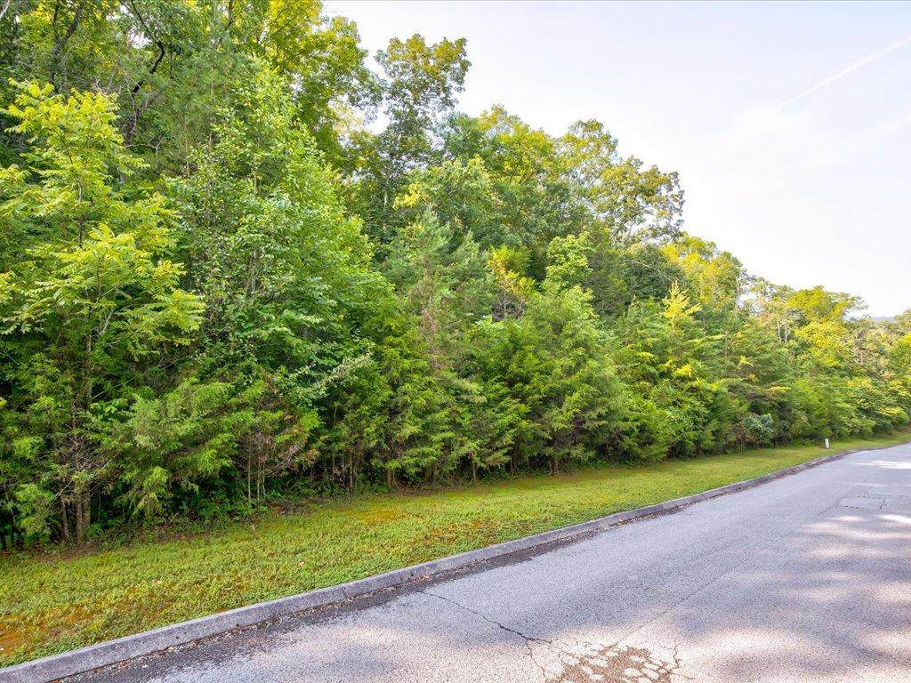 136 Eagles Ridge - Photo 1