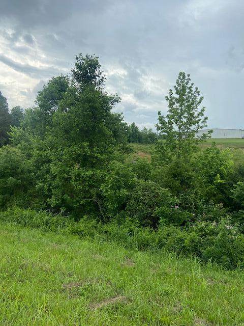Highway 411 S - Photo 1