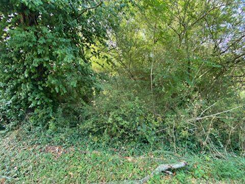 00 Cherry Rd - Photo 1