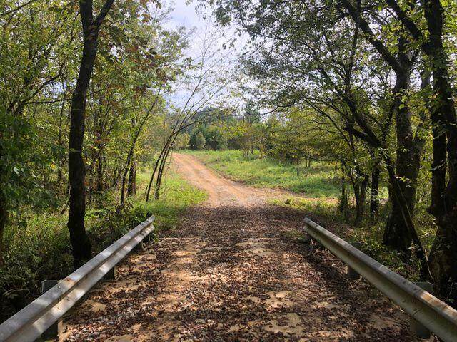 Tract 36 Pinhook Road - Photo 1
