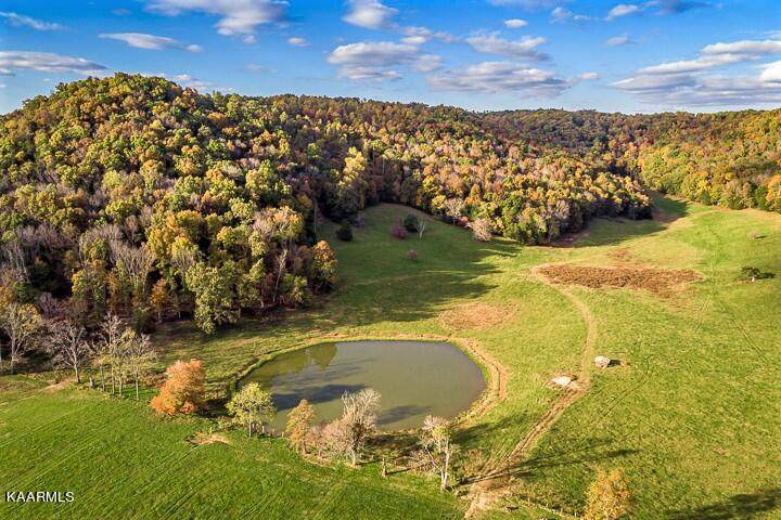 961 Jim Hennessee Rd - Photo 1
