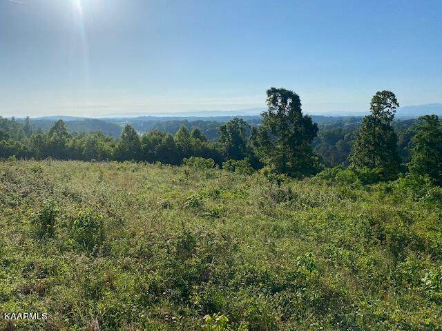 Bat Creek Rd - Photo 1