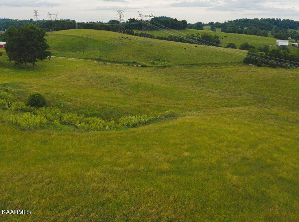 530 Acres Buffalo Springs Rd - Photo 1