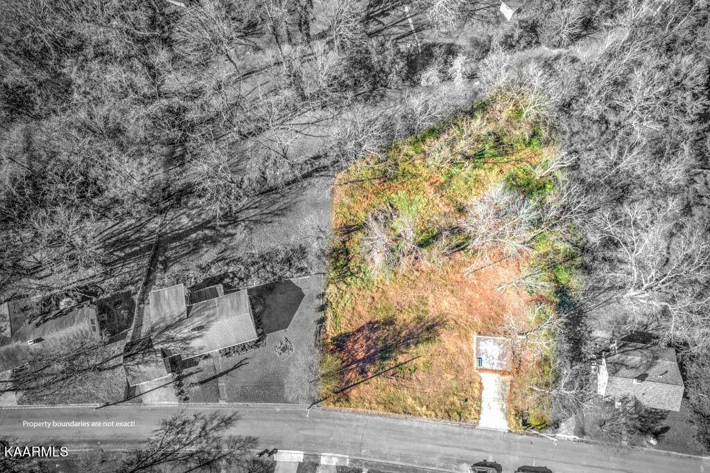 106 Pasadena Rd - Photo 1