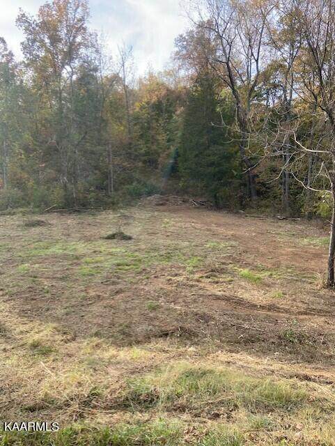 Lot 1 County Road 675 - Photo 1