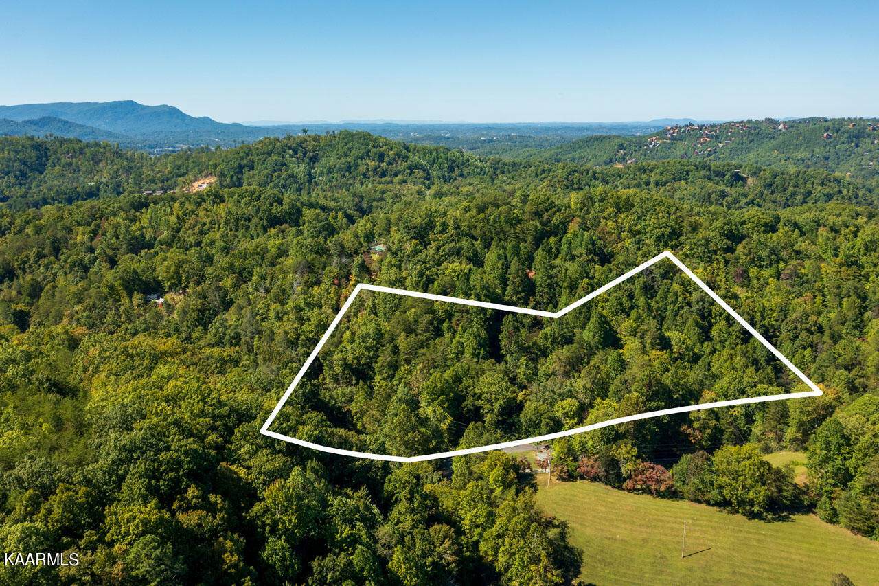 1175 Gnatty Branch Rd - Photo 1