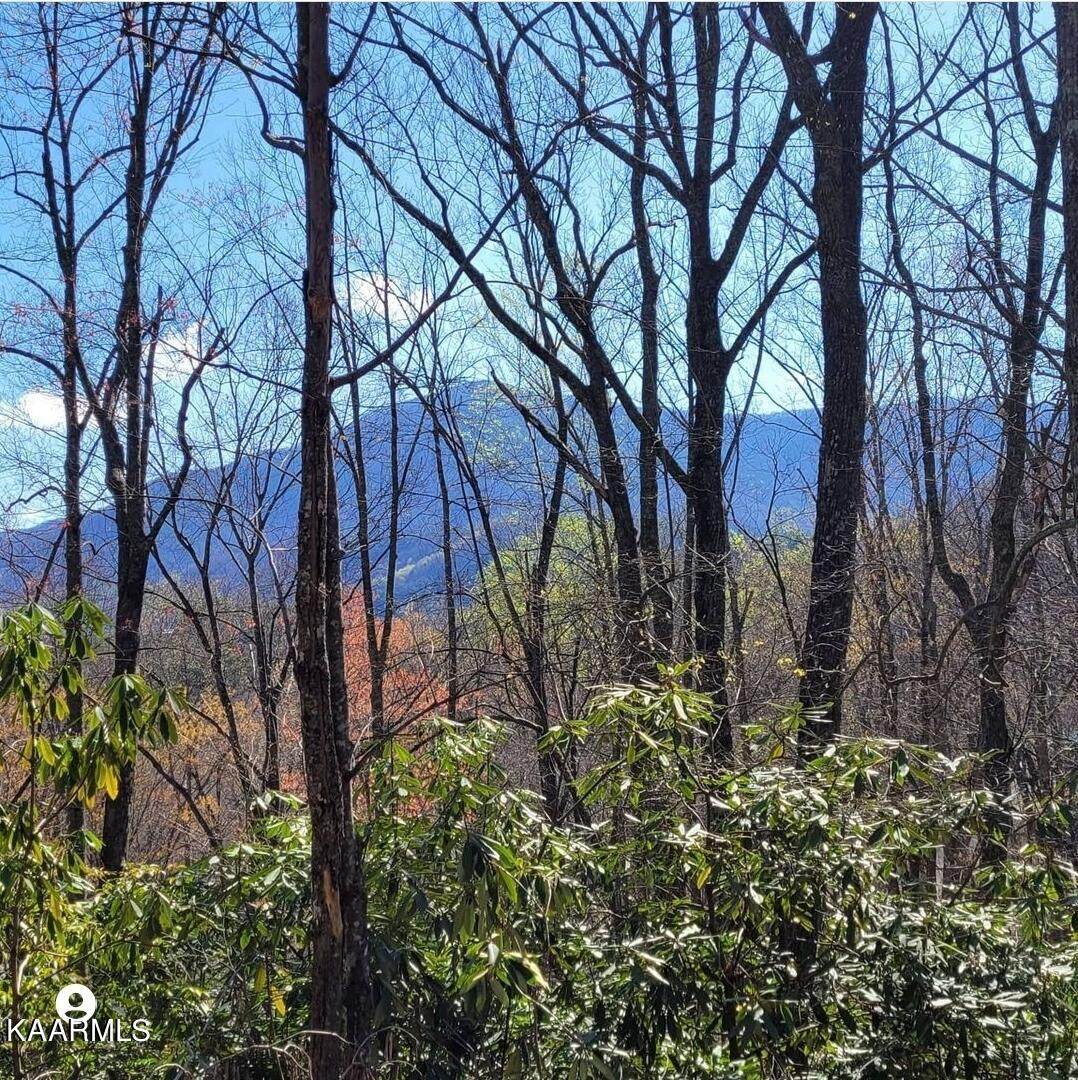 Brooke Hollow Ln Lane - Photo 1