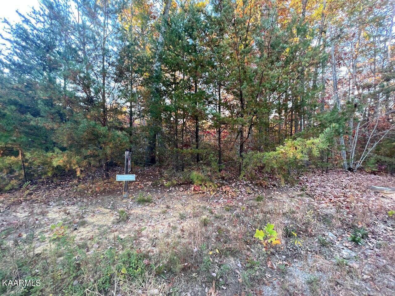 101 Fox Run Court - Photo 1