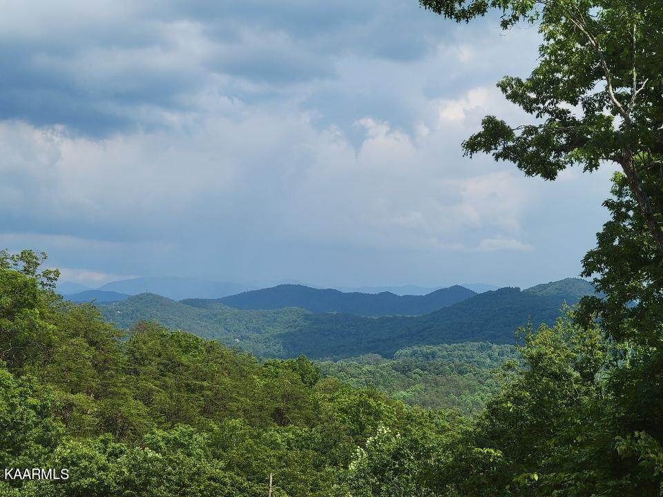 Tolliver Trail - Photo 1