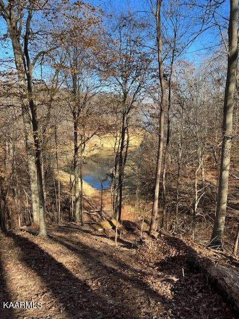 1440 Woods Ridge Rd - Photo 1