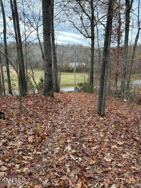 Lot 12 County Road 179 - Photo 1