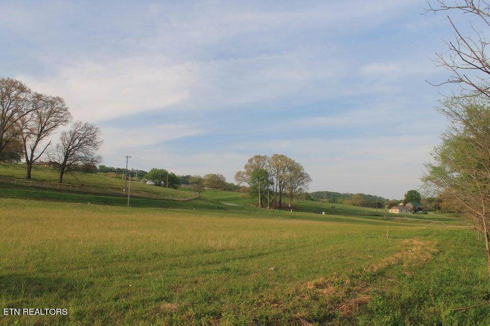 Lot 6 Roddy Branch Rd - Photo 1