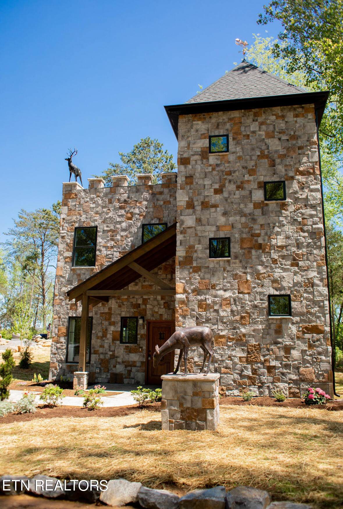 970 Douglas Dam Rd - Photo 1