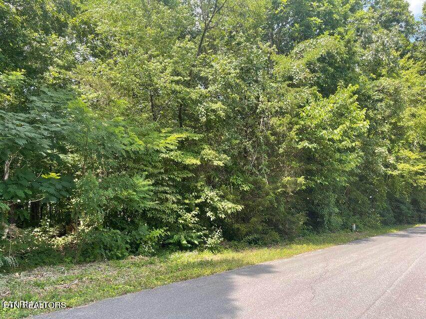  Lot 19 Somerset Lane - Photo 1