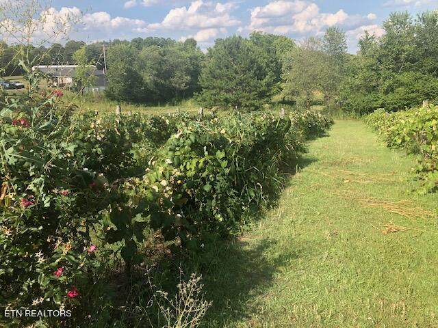 Sweetwater Vonore Rd - Photo 1