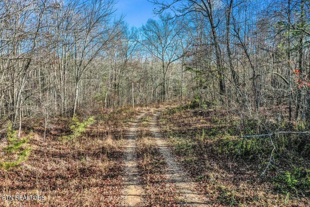  Nashville Ave - Photo 1