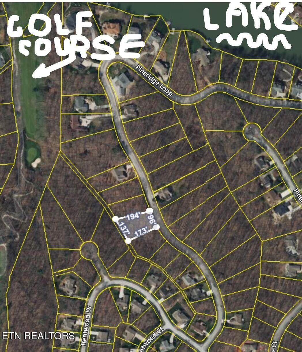 121 Pineridge Loop - Photo 1