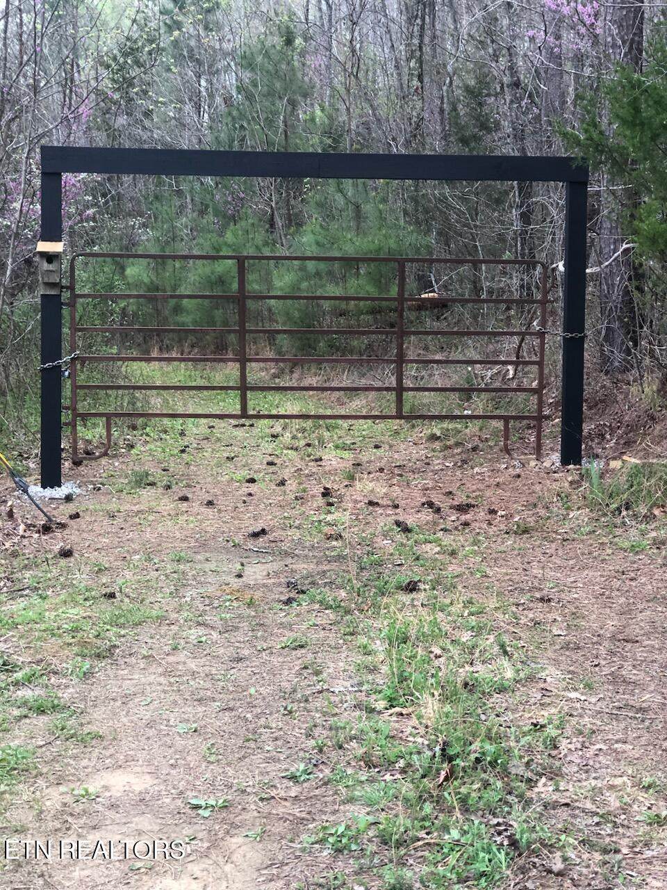 0 Lick Creek Rd - Photo 1