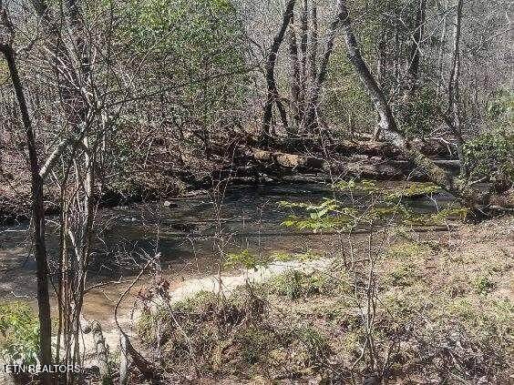 255 & 329 Copperhead Rd - Photo 1