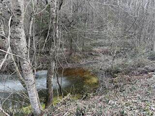  Bates Gibson Rd - Photo 1