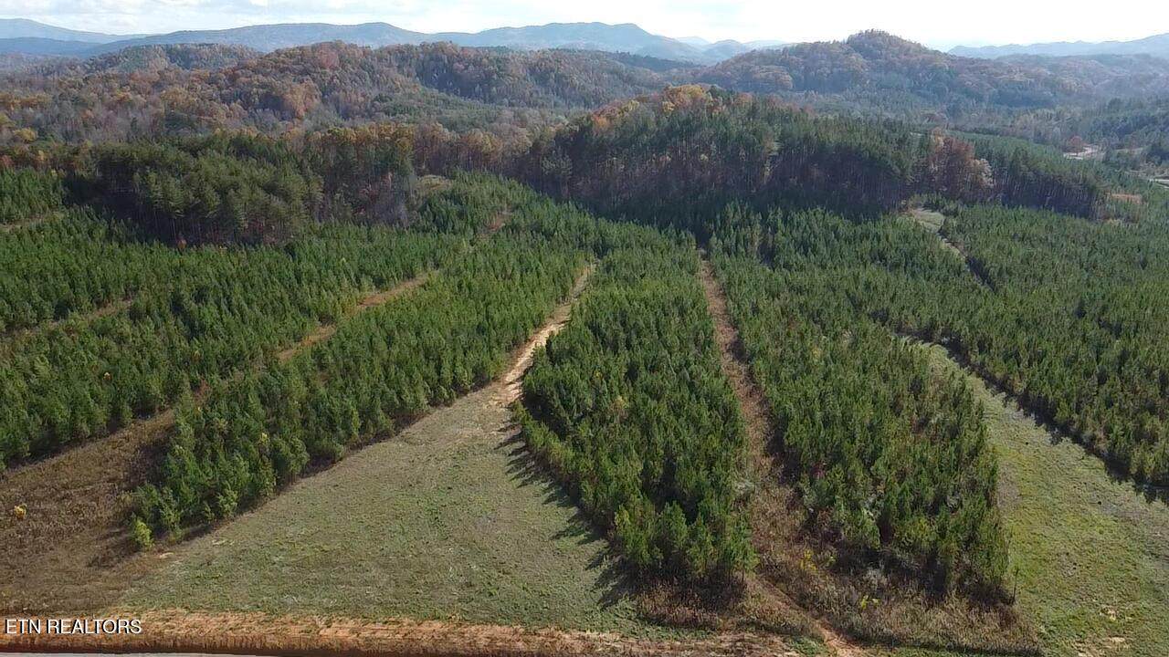 Lot 51 Three Point Rd - Photo 1