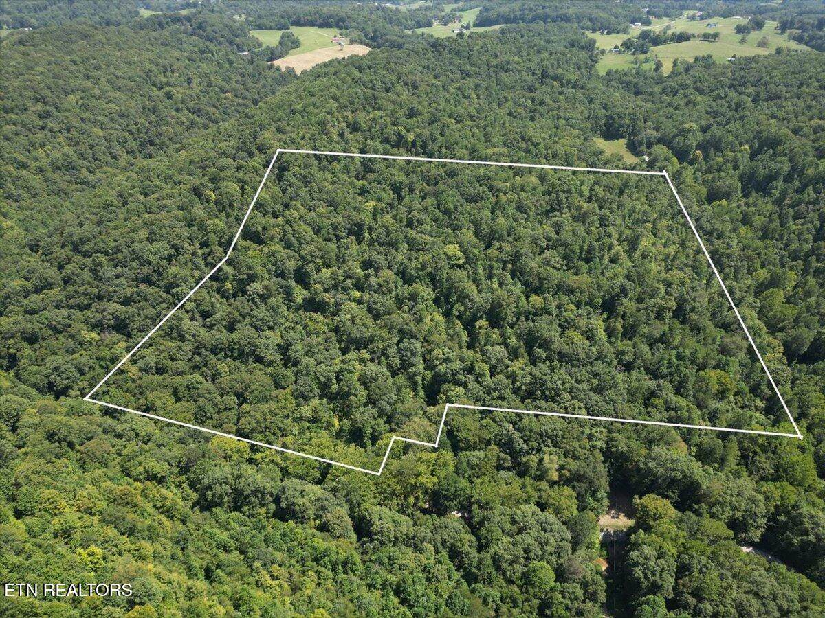  Lonesome Vally Rd Rd - Photo 1