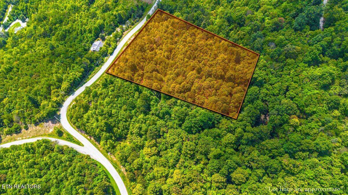  Lot 672 Chimney Rock Rd - Photo 1